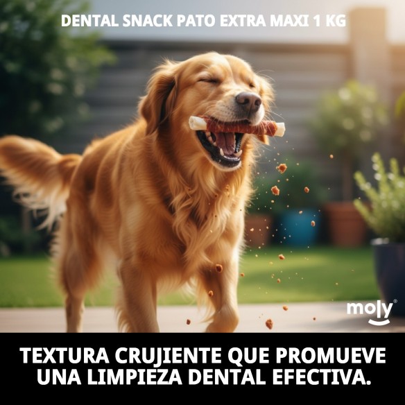 DENTAL SNACK PATO EXTRA MAXI 1 KG