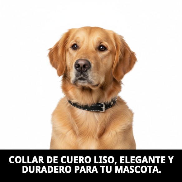 Collar de Cuero Liso con Fornitura - 45 cm para Mascotas