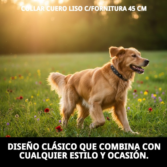 Collar de Cuero Liso con Fornitura - 45 cm para Mascotas