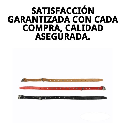 Collar de Cuero Liso con Fornitura - 45 cm para Mascotas