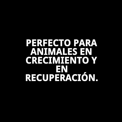 Tabernil Calcio 20 ml: Suplemento Esencial para Mascotas