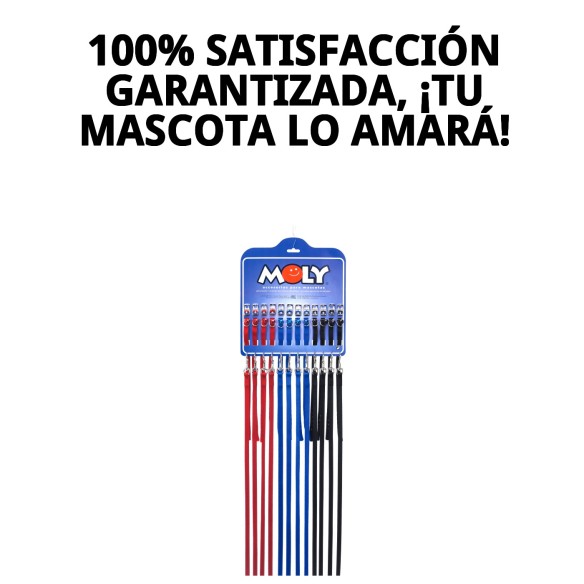 Collar y Ramal Liso con Cascabel para tu Mascota