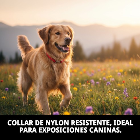 Collar Ramal Nylon Exposición con Pinza - Seguridad y Estilo