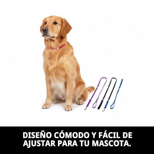 Collar Ramal Nylon Exposición con Pinza - Seguridad y Estilo