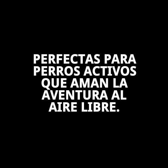 Ruedas Velox 13: Velocidad y Estilo para Tu Mascota