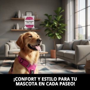 Arnés Nylon Love 25-40 cm: Comodidad y Estilo para tu Mascota 2