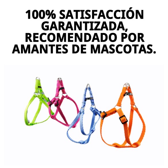 Arnes con Ramal Fluor 1,3 Colores para Tu Mascota