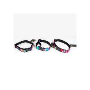 Collar City Fantasía: Estilo y Comodidad para Tu Mascota