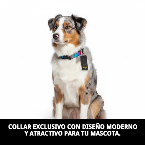 Collar City Fantasía: Estilo y Comodidad para Tu Mascota