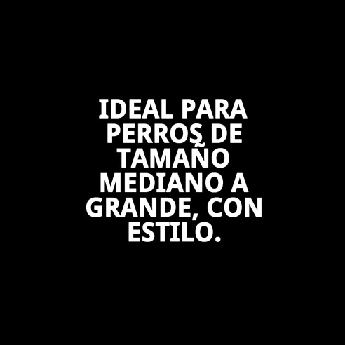 Collar City Fantasía: Estilo y Comodidad para Tu Mascota