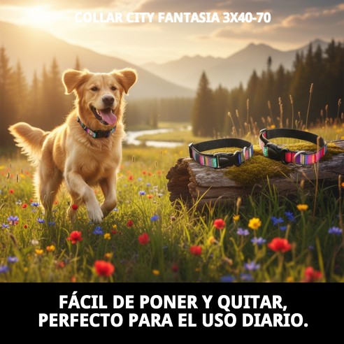 Collar City Fantasía: Estilo y Comodidad para Tu Mascota