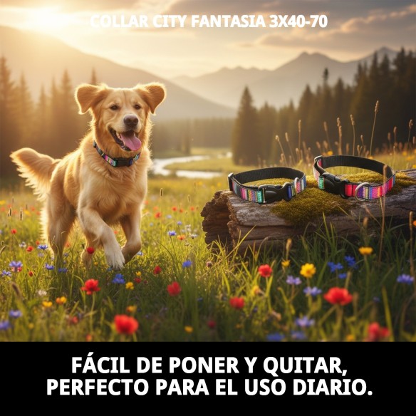 Collar City Fantasía: Estilo y Comodidad para Tu Mascota