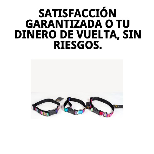 Collar City Fantasía: Estilo y Comodidad para Tu Mascota