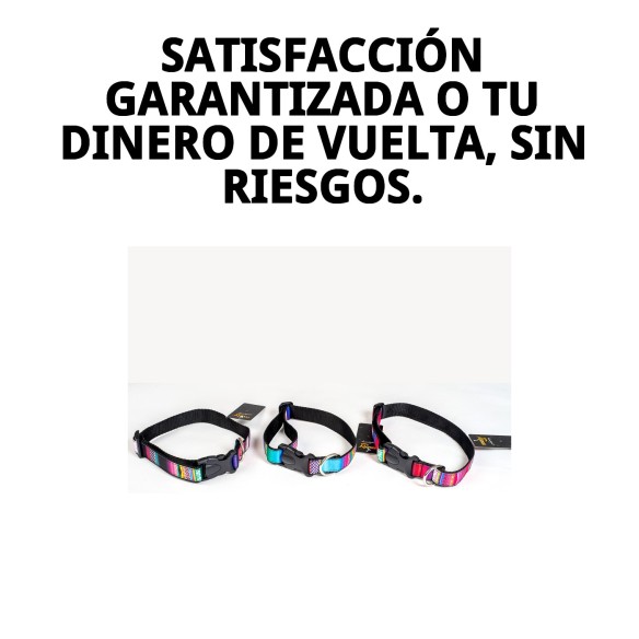 Collar City Fantasía: Estilo y Comodidad para Tu Mascota