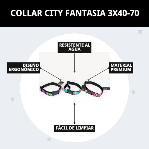 Collar City Fantasía: Estilo y Comodidad para Tu Mascota