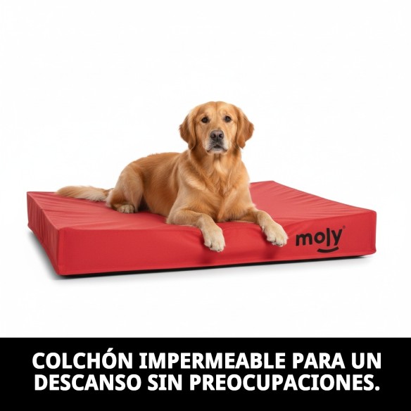 Colchón Waterproof Rojo T-1 80x60x10 para Mascotas Felices