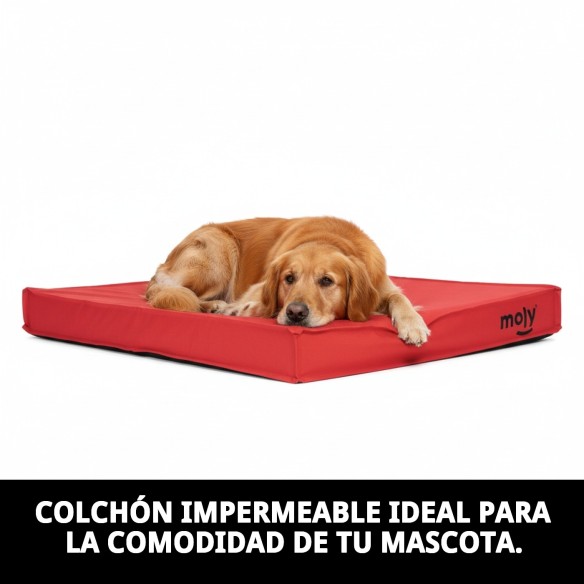 Colchón Waterproof Rojo T-2 90x60x10 para Mascotas Felices