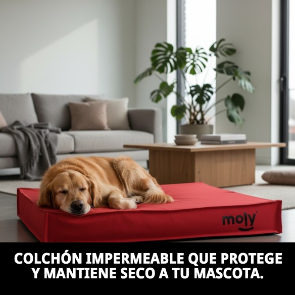 Colchón Waterproof Rojo T-3 105x95x10 para Mascotas Fáciles