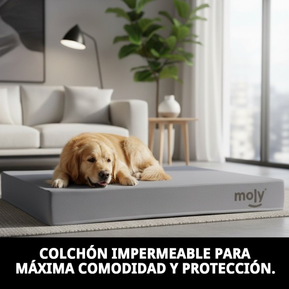 Colchón Waterproof Gris T-1 80x60x10 para Mascotas Confortable