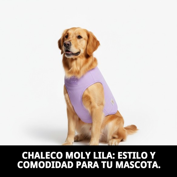 Chaleco Moly Lila para Perro Talla L - Comodidad y Estilo