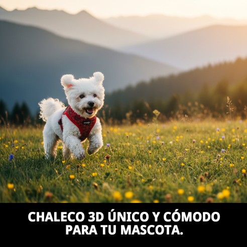 Chaleco 3D Casitas Rojas T-XS para Mascotas Divertido