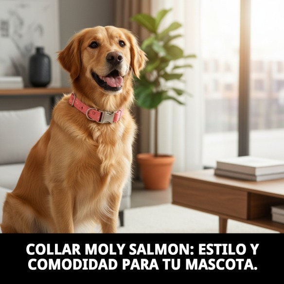 Collar Moly Salmon T-2: Estilo y Comodidad para tu Mascota