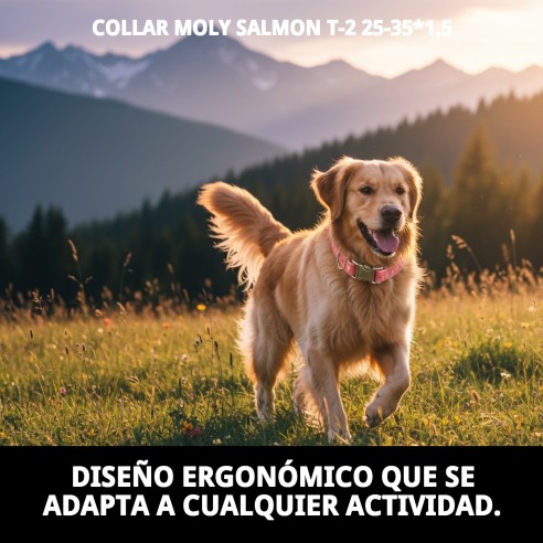 Collar Moly Salmon T-2: Estilo y Comodidad para tu Mascota
