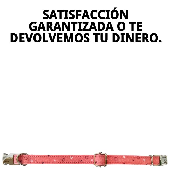 Collar Moly Salmon T-2: Estilo y Comodidad para tu Mascota