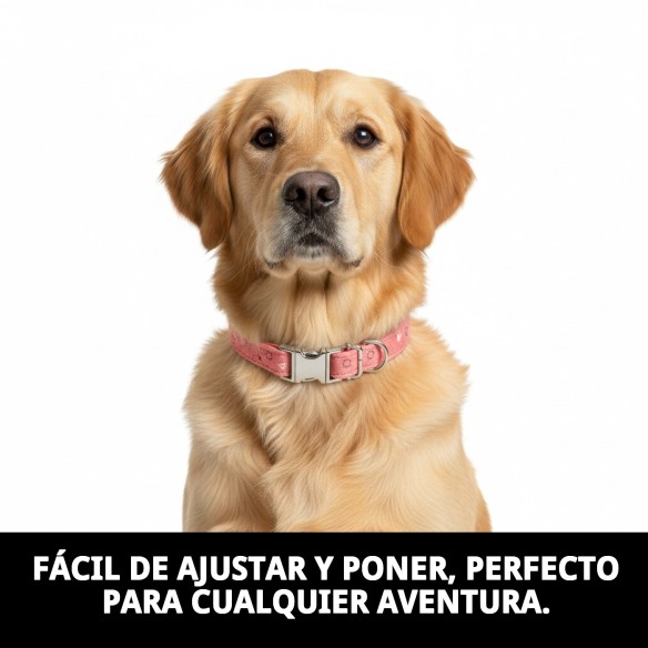 Collar Moly Salmon T-3: Estilo y Comodidad para tu Mascota