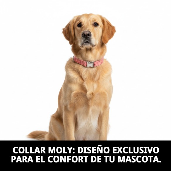Collar Moly Salmon T-4: Comodidad y Estilo para tu Perro