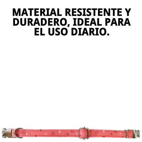 Collar Moly Salmon T-4: Comodidad y Estilo para tu Perro