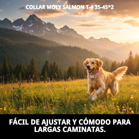 Collar Moly Salmon T-4: Comodidad y Estilo para tu Perro