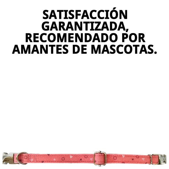 Collar Moly Salmon T-4: Comodidad y Estilo para tu Perro