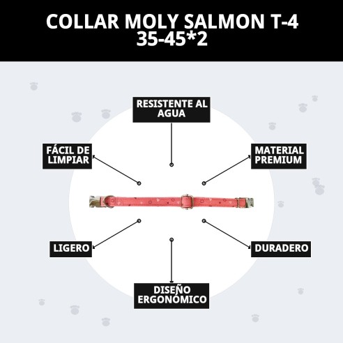 Collar Moly Salmon T-4: Comodidad y Estilo para tu Perro