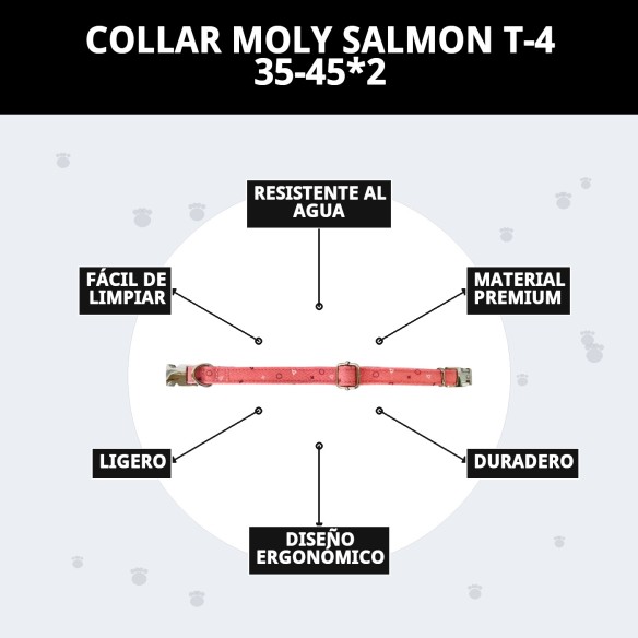 Collar Moly Salmon T-4: Comodidad y Estilo para tu Perro