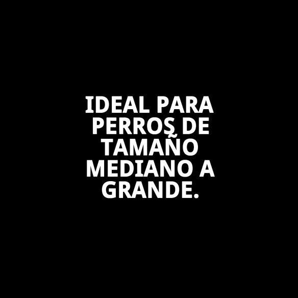 Collar Moly Salmon T-5 40-50cm para tu mascota feliz