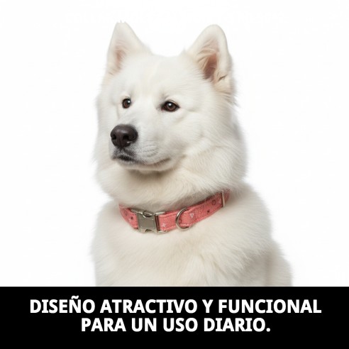 Collar Moly Salmon T-5 40-50cm para tu mascota feliz