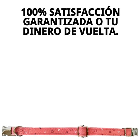 Collar Moly Salmon T-5 40-50cm para tu mascota feliz