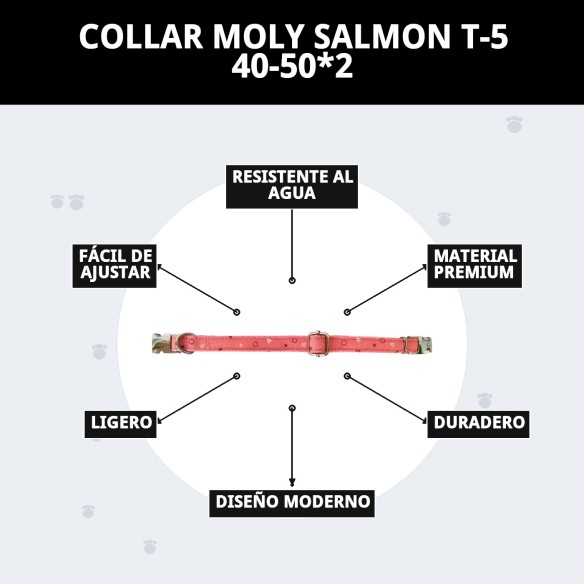 Collar Moly Salmon T-5 40-50cm para tu mascota feliz