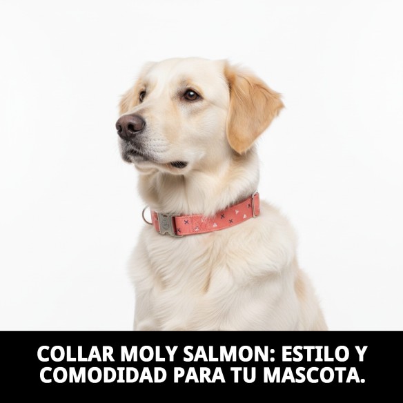 Collar Moly Salmon T-6 para Perros 45-55 cm - Comodidad y Estilo