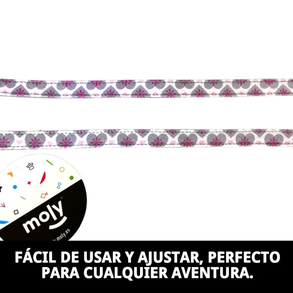 Ramal Corazones T-2: Estilo y Comodidad para tu Mascota