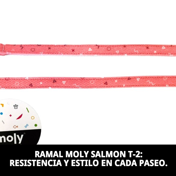 RAMAL MOLY SALMON T-2 120*2