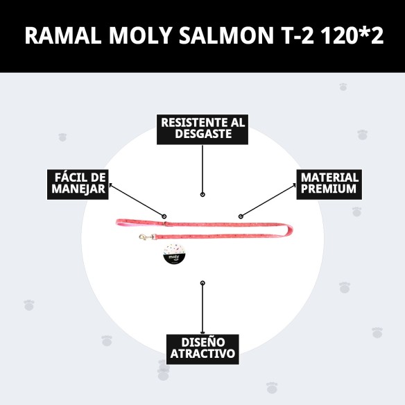 RAMAL MOLY SALMON T-2 120*2