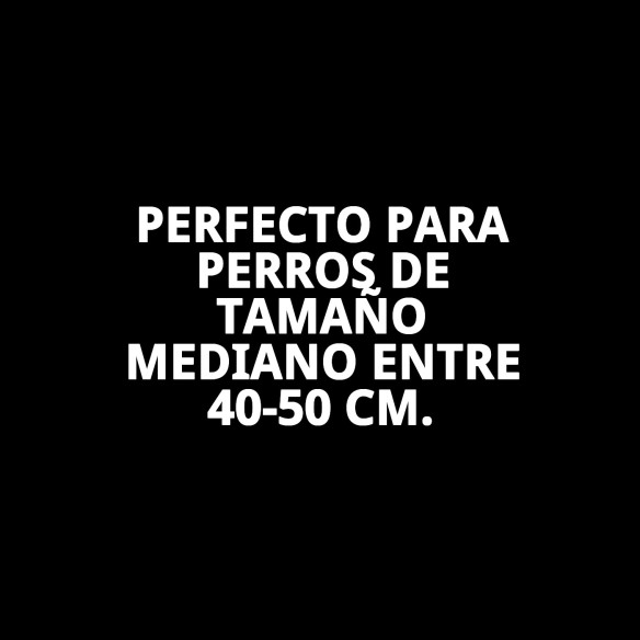 PETRAL GAVIOTAS T-5: Comodidad y Estilo para tu Mascota