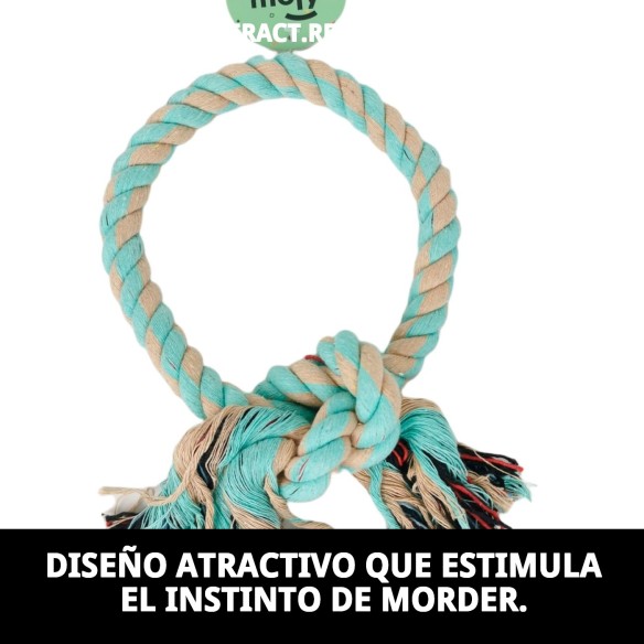 Mordedor Interactivo Redondo para Perros - Juguete de Cuerda