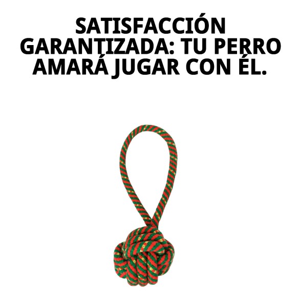 Juguete Lanzador de Bola Chia para Perros - 22 cm