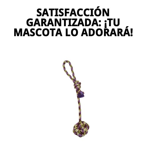 Lanzador de Pelota Trendy: Diversión y ejercicio para tu perro