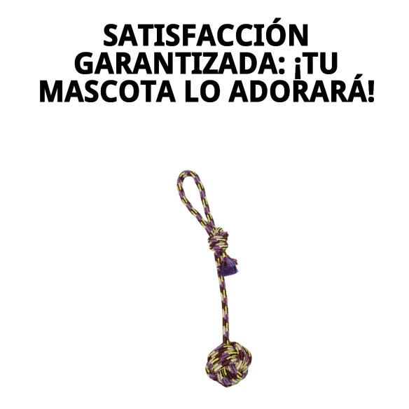 Lanzador de Pelota Trendy: Diversión y ejercicio para tu perro