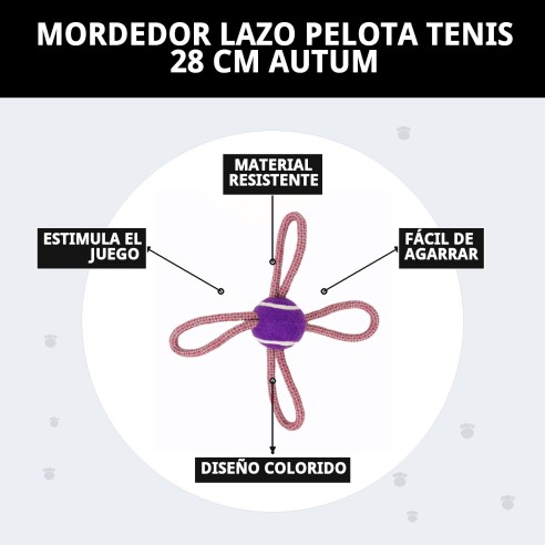 Mordedor Lazo Pelota Tenis 28 cm para Perros Activos