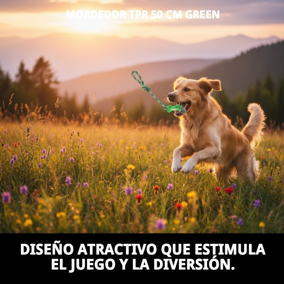 Mordedor TPR 50 cm Green: Juguete Duradero para Perros